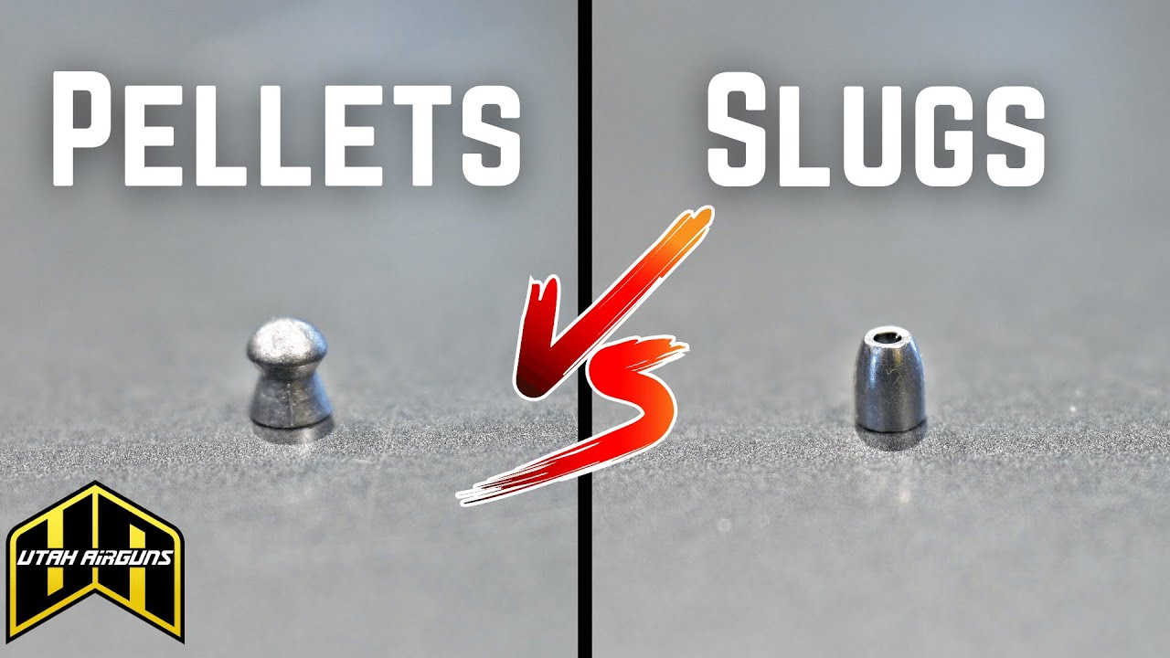 Pellets VS Slugs | Which One Is For You?